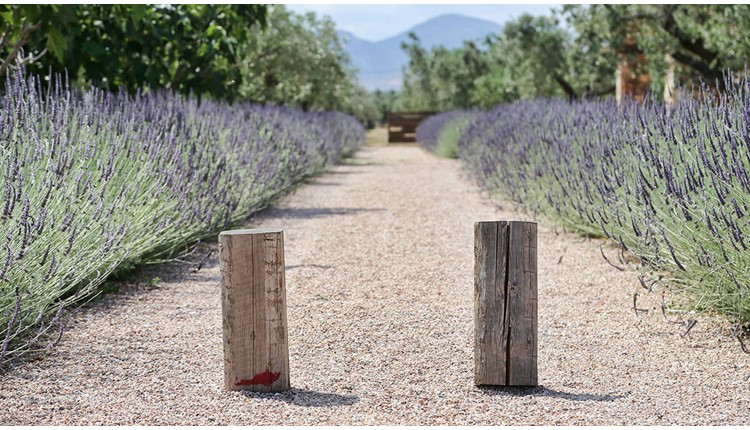 The Margi Hotel, Афины